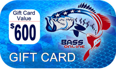 Gift Card -$600