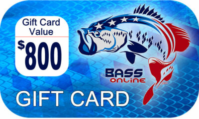 Gift Card -$800